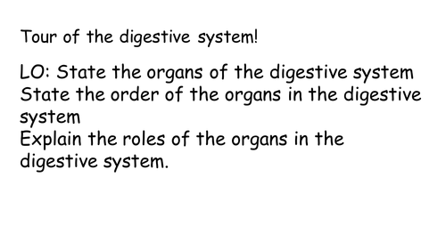 Digestive system practical lesson KS3 digestive organ system