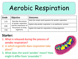 NEW AQA Trilogy GCSE (2016) Biology - Aerobic Respiration by ...