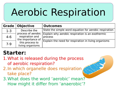 NEW AQA Trilogy GCSE (2016) Biology - Aerobic Respiration