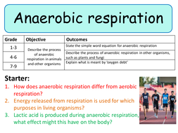 NEW AQA Trilogy GCSE (2016) Biology - Anaerobic Respiration by ...