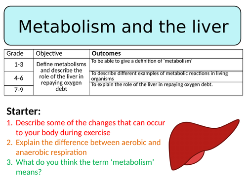 NEW AQA Trilogy GCSE (2016) Biology - Metabolism and the liver