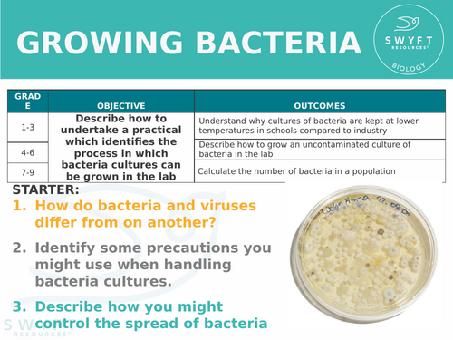 NEW AQA Trilogy GCSE (2016) Biology - Growing Bacteria HT