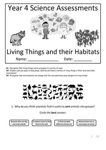 Living Things And The Environment Worksheet
