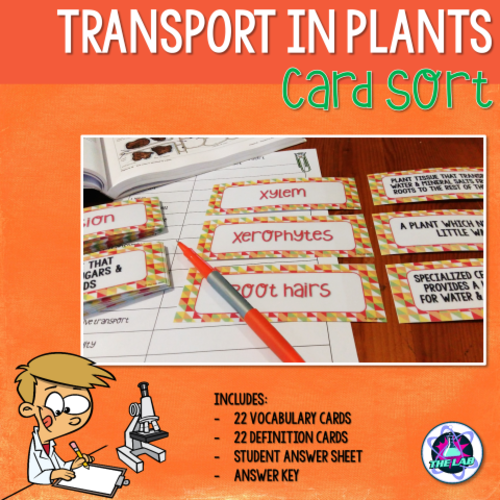 Transport in Plants Vocabulary Card Sort
