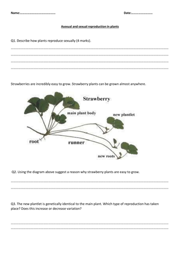 AQA new specification-The best of both worlds-B13.3