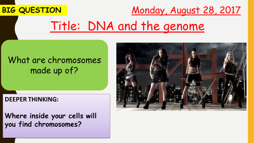 AQA new specification-DNA and the genome-B13.4