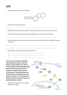 ATP A Level Worksheet, answers and presentation | Teaching Resources