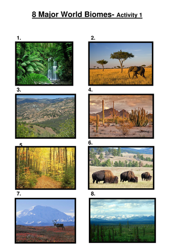 NEW AQA GCSE THE LIVING WORLD CH 5 ECOSYSTEMS- 5 whole lessons