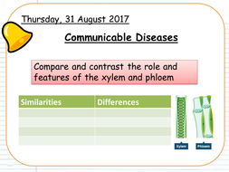 Unit 3 Communicable Diseases