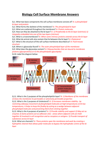 CCEA A-LEVEL BIOLOGY 2016 SPECIFICATION: AS 1: CELLS REVISION