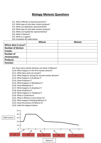 docx, 13.81 KB