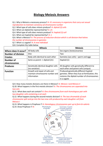 CCEA A-LEVEL BIOLOGY 2017 SPECIFICATION: AS 1: CONTINUITY OF CELLS REVISION