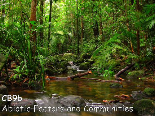 Edexcel CB9b Abiotic Factors and Communities