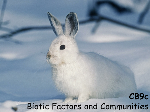 edexcel-cb9c-biotic-factors-and-communities-teaching-resources