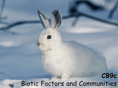 Edexcel CB9c Biotic Factors and Communities
