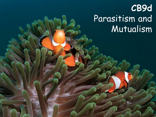 Edexcel CB9d Parasitism and Mutualism