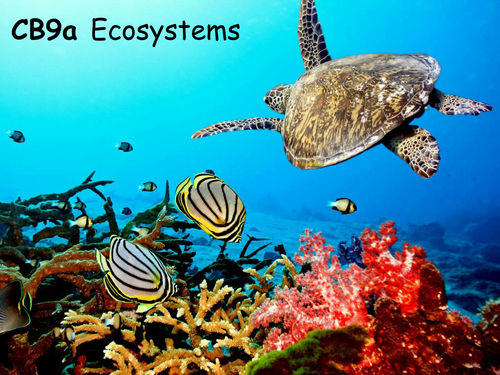 Edexcel CB9a Ecosystems