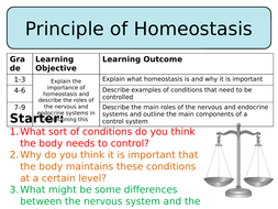 homeostasis gcse biology aqa trilogy principles tes