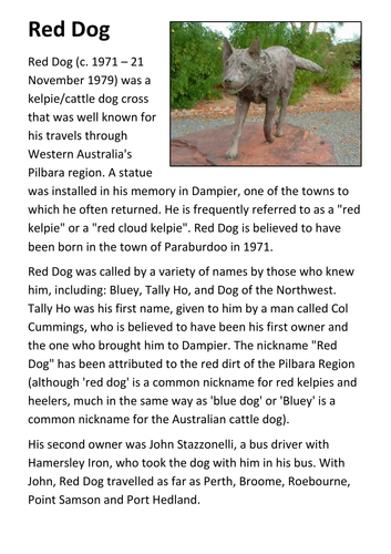 Red Dog Handout