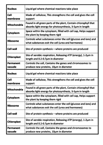 New 9-1 AQA GCSE Biology B1 Animal and Plant Cells | Teaching Resources