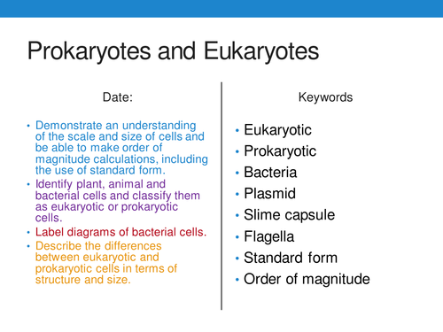 New 9-1 AQA GCSE Biology B1 Eukaryotic and Prokaryotic Cells | Teaching ...