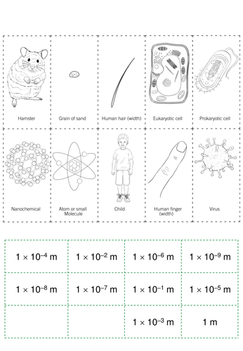 New 9-1 AQA GCSE Biology B1 Eukaryotic and Prokaryotic Cells | Teaching ...