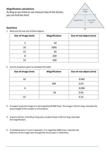 New GCSE AQA 9-1 Biology B1 Microscopes | Teaching Resources