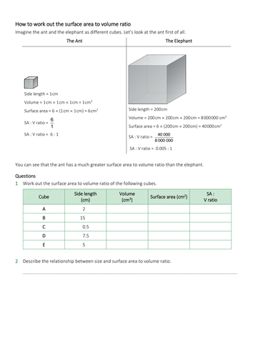 docx, 109.63 KB