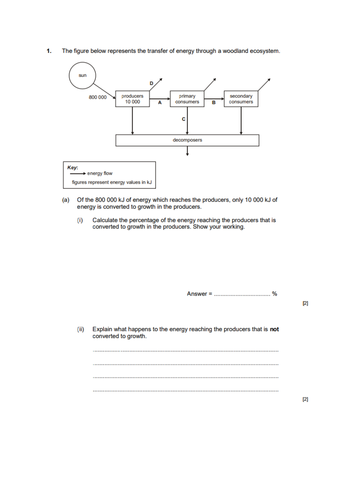 Energy transfer in ecosystems - complete lesson (A2) | Teaching Resources