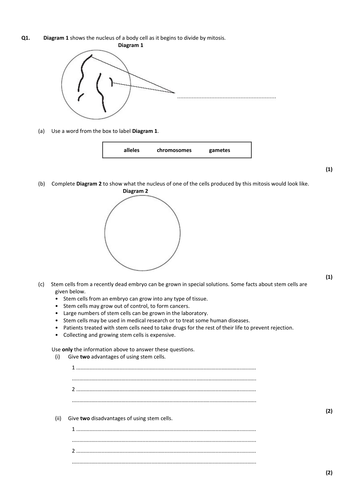 New 9-1 GCSE AQA Biology B2 Cell Division | Teaching Resources