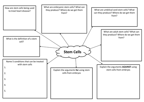 New 9-1 GCSE AQA Biology B2 Stem Cells | Teaching Resources