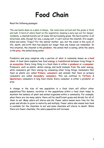 essay writing on food chain