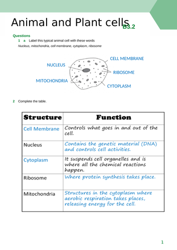Animal and Plant Cells | Teaching Resources
