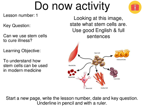 Stem cells - NEW AQA GCSE