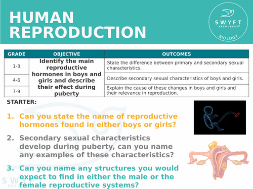NEW AQA GCSE Trilogy (2016) Biology - Human Reproduction