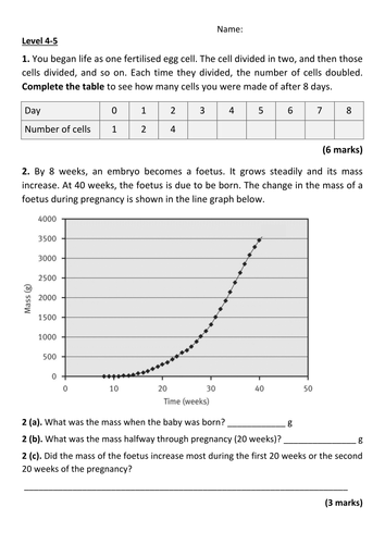 docx, 131.11 KB