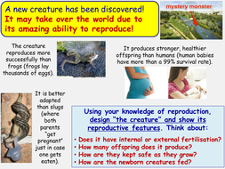 year 7 reproduction creative homework task teaching resources