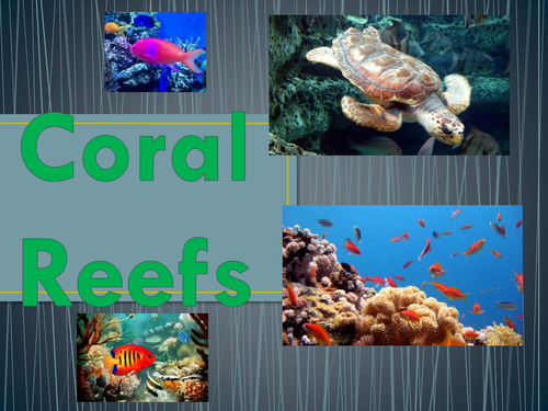 Coral Reefs - Caribbean Y6 | Teaching Resources