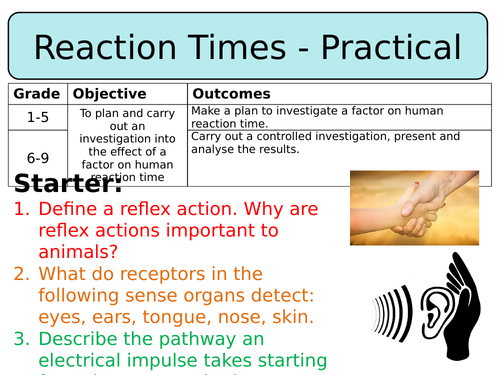 NEW AQA GCSE Trilogy (2016) Biology - Reaction time - Core Practical