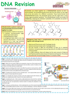 AS Biology Revision Notes / Summary Sheets | Teaching Resources