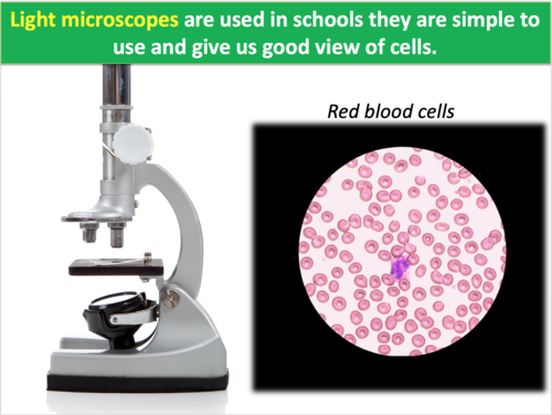 The World of the Microscope | Teaching Resources