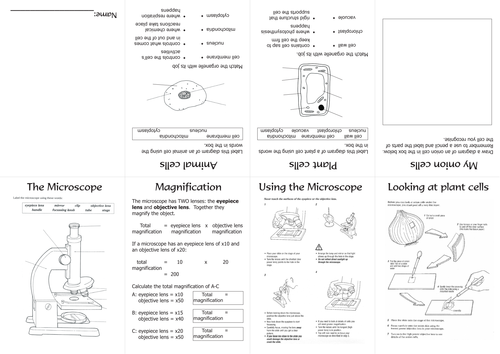 pdf, 462.08 KB