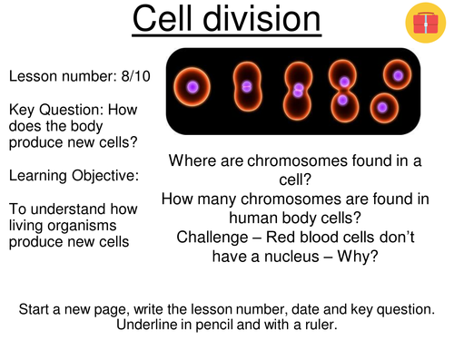 Cell cycle - AQA GCSE