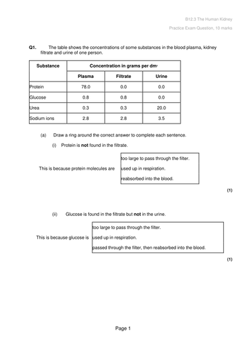 docx, 26.91 KB