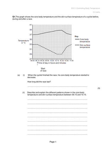 docx, 38.94 KB