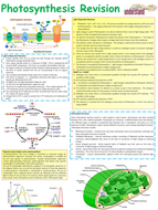 Ocr A Level Biology A2 Revision Notes   Summary Sheets 