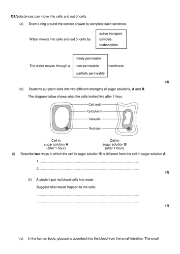 New 9-1 GCSE AQA Biology B3 Catalysts and Enzymes | Teaching Resources