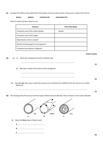 New GCSE AQA Biology B4 The Blood | Teaching Resources