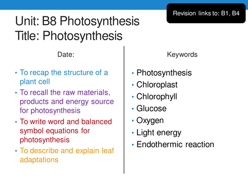New GCSE 9-1 AQA Biology B8 Photosynthesis | Teaching Resources