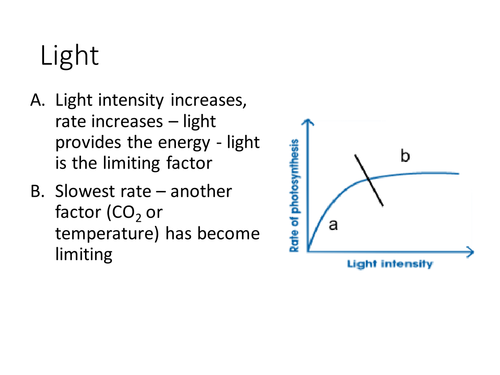 New 9-1 GCSE AQA Biology B8 Rate of Photosynthesis | Teaching Resources